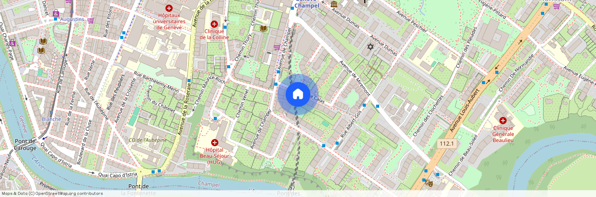 Avenue Calas 8, 1206 Genève