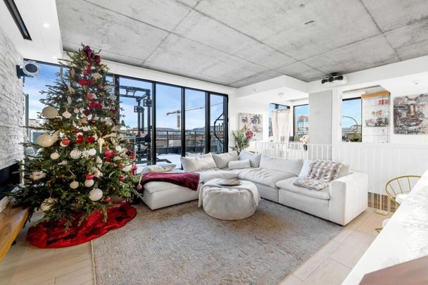 Nouveauté sur le marché Appartement à louer - Montréal (Villeray/Saint-Michel/Parc-Extension) (Villeray) - Photo 1