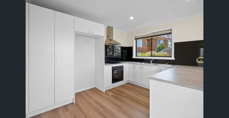 Renovated 2 Bedroom Unit - Photo 4