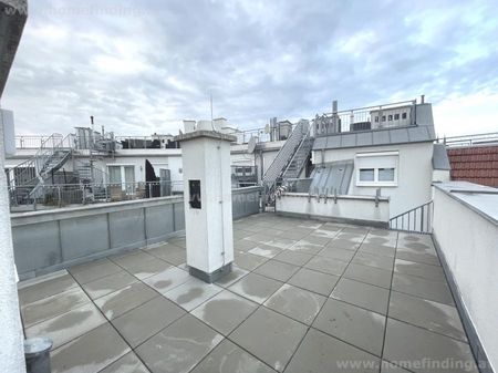 hofseitige Terrassenwohnung nahe Liechtensteinpark - unbefristet - Photo 3