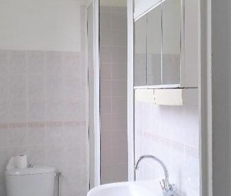 Location Appartement 1 pièce 26m² TOURS 37000 - Photo 2