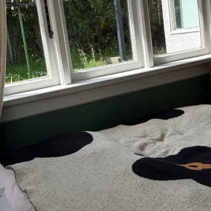 Fully Furnished Studio Room Available Now - Photo 1