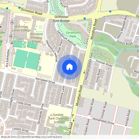 20 Rohi Place, Flat Bush, Manukau City