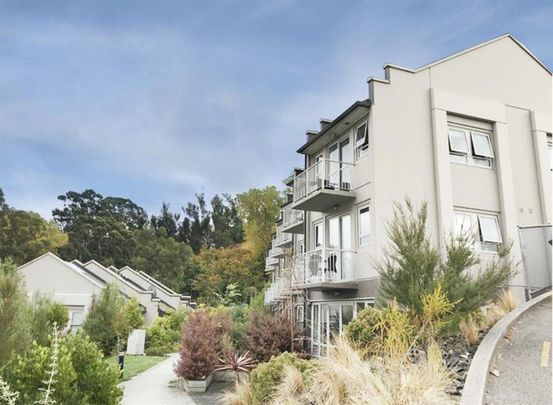 Superior Studio Complex for 2026 - Photo 1