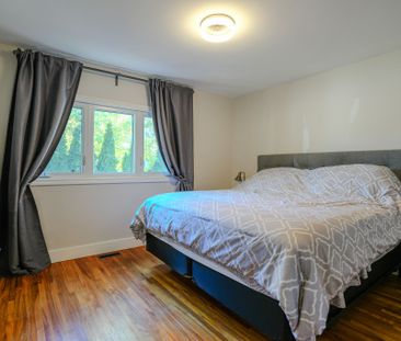 For Lease - 345 NAPIER Street, Collingwood, Ontario - Photo 2