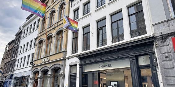 Studio te huur in Antwerpen voor € 950 met 1 slaapkamer - foto 3