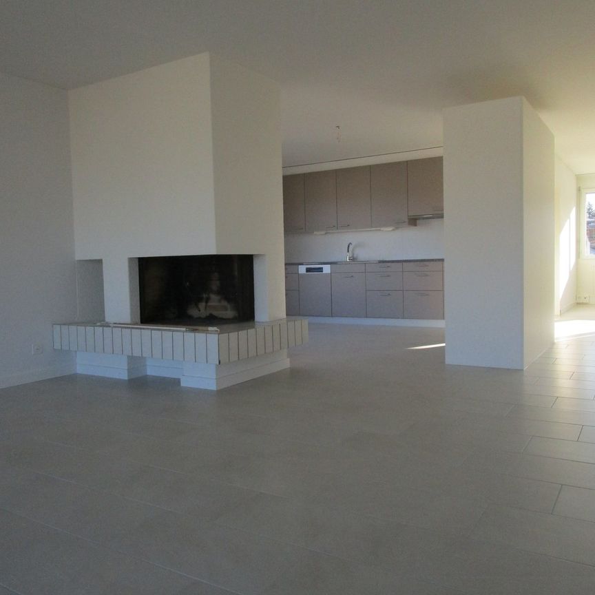 Grosszügige 7-Zimmer-Attikawohnung mit Cheminée in Olten - Photo 1