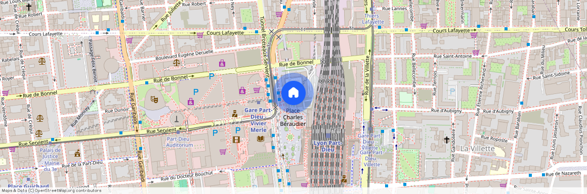 74 Cours Du Dr Long, 69003, Lyon