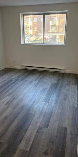 1 CH - 1 SDB - Gatineau - $1,495 /mo - Photo 1