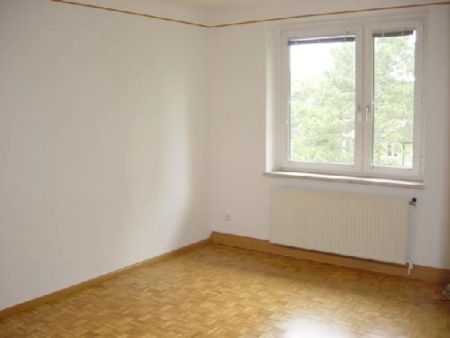 Privatvermietung: perfekte 2-Zimmer-Wohnung in angenehmer Ruhelage - Photo 3