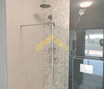 Penthouse 2 camere de inchiriat zona Micalaca - Photo 5