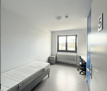 Location Appartement 1 pièce 12m² MITTELHAUSBERGEN 67206 - Photo 5