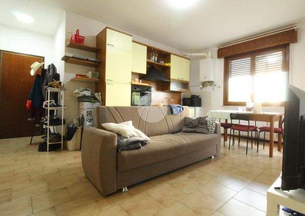 Bilocale in affitto