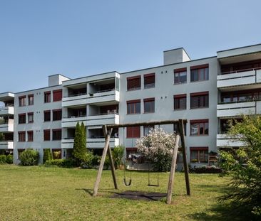 Vivre à Neuhausen - calme, central et proche de la nature - Photo 1