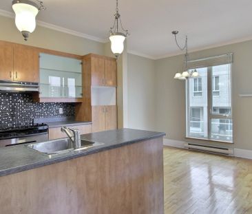 Condo for rent, Montréal (Ville-Marie) - Photo 3