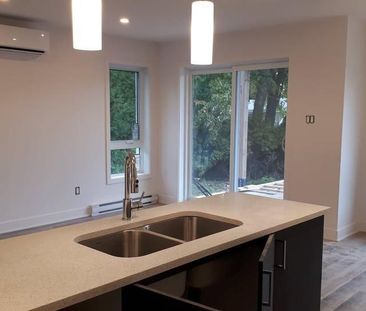 Logement style condo 4 1/2 NEUF Deluxe - Montréal - Pointes-aux-Tre... - Photo 3