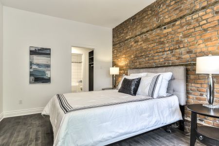 Condo for rent, Montréal (Le Plateau-Mont-Royal) - Photo 2