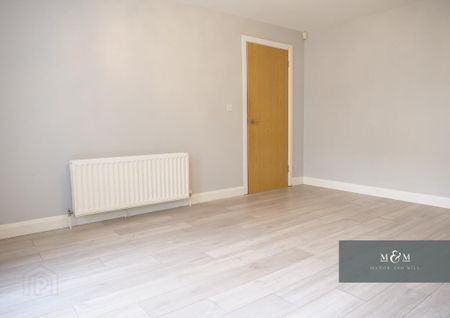 114 Bluestone Hall, Craigavon, BT64 2AP - Photo 5