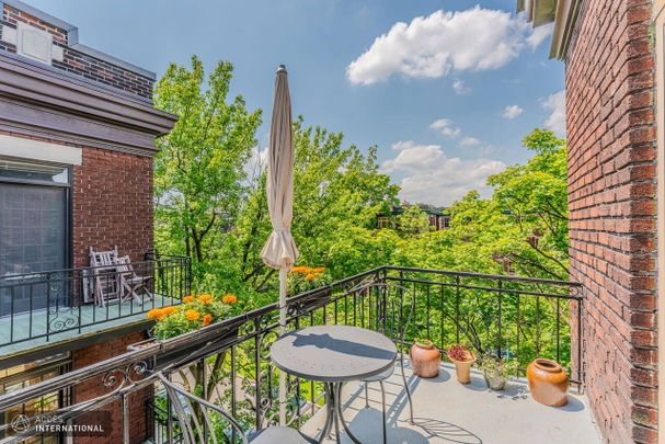 MOU008 - Apartment Outremont, Montreal - Photo 1