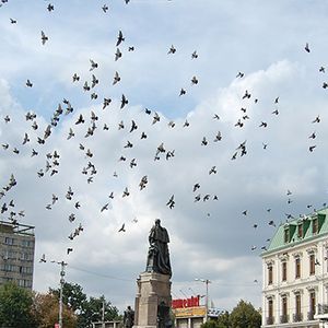 Luxury 2 rooms apartment for rent Center - Union Square Iasi - Fotografie 2
