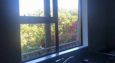 Affordable Studio Living in a Prime Masterton Location! - Photo 2