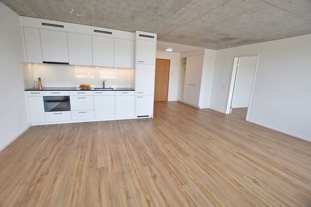 Appartement moderne de 2,5 pièces avec grande terrasse commune sur le toit - Photo 1