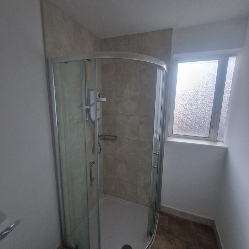 3 Mount Pleasant, College Road, Western Road, Cork - Photo 1