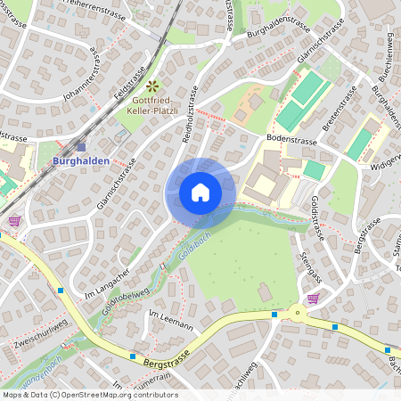 Bodenstrasse 19, 8805, Richterswil