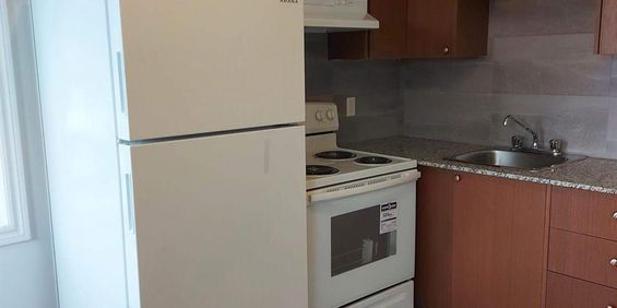 2 CH - 1 SDB - Montréal - $1,400 /mo - Photo 3