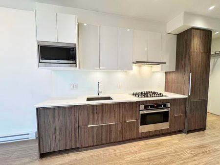 379 Broadway Street E #303, Vancouver, BC V5T1W6 - Photo 4