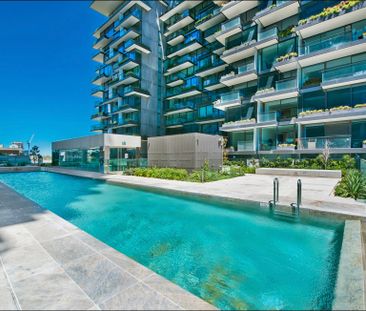 W1107/2 Chippendale Way, Chippendale NSW 2008 - Apartment For Rent ... - Photo 1