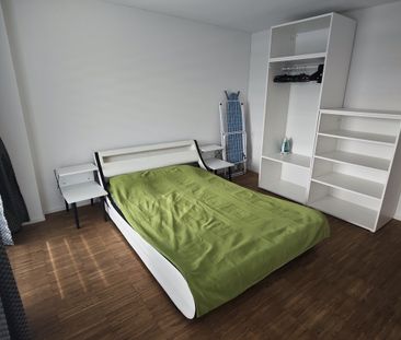 APPARTEMENT 21/2 PIÈCES À EMMENBRÜCKE (LU), MEUBLÉ, TEMPORAIRE - Photo 3