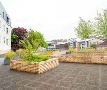 6 Bed Gold Ensuite - Photo 5