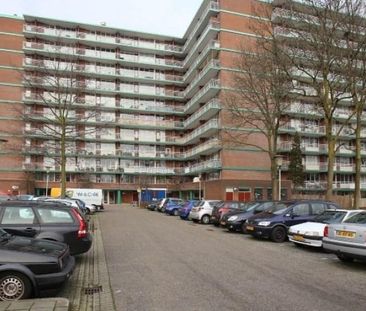 Binnenwater 0ong, 2715 GG Zoetermeer, Nederland - Photo 1
