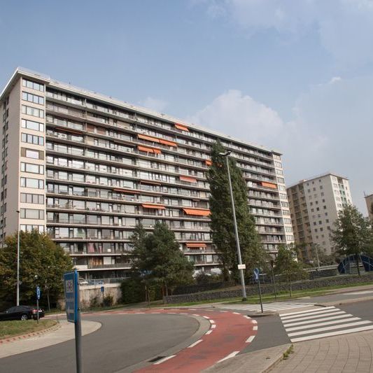 Ruim 3-slaapkamer appartement met uniek zicht op Gent - Foto 1