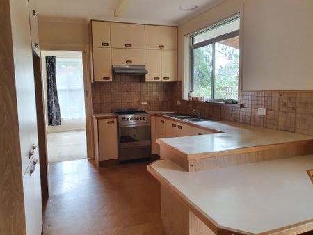 18 Lauer Street, Doncaster - Photo 2