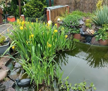 Zwei Zimmer Wohnung - Photo 1