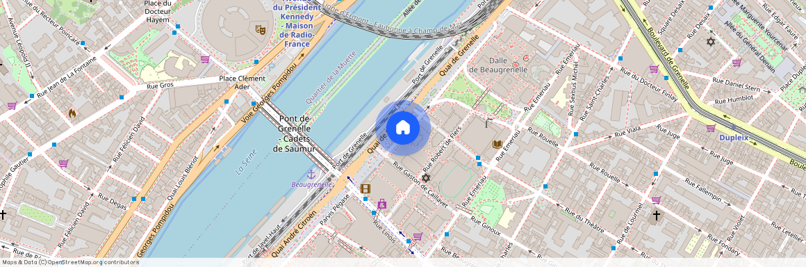 Rue Emeriau, entre Rue St Charles et Quai de Grenelle 75015 Paris (15e arrondissement)