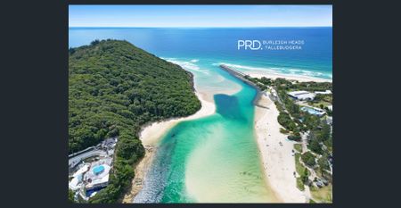 Koala Park - Family Home - Photo 3