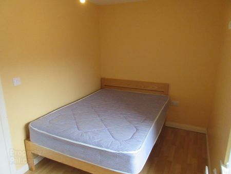 New Build Apartment, 76c Rugby Avenue, Queens Quarter, Belfast - Photo 4