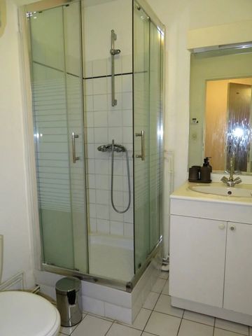 Location Appartement 1 pièce 24m² ST ORENS DE GAMEVILLE 31650 - Photo 5