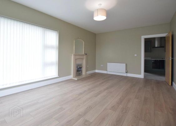 45 Coolreaghs Road, Cookstown, BT80 8ER - Photo 1