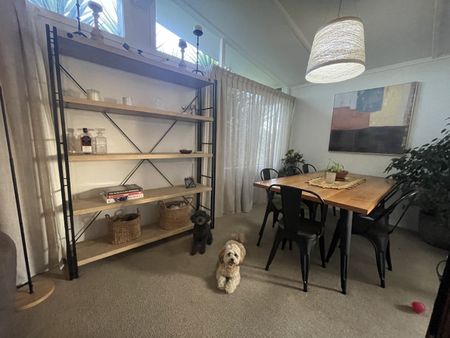 Small pet friendly family home at Royal Heights ! - Photo 3