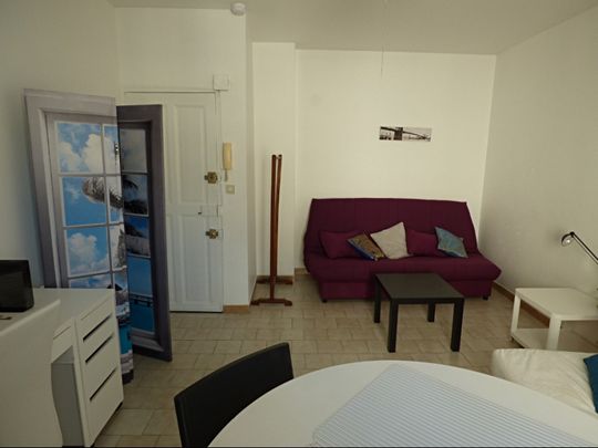 AVIGNON INTRA MUROS: T1 climatisé en coeur de ville et en zone piétonne, idéal pour le Festival ou en août pour découvrir Avignon - Photo 1