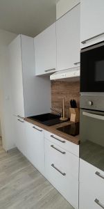 Location Appartement 1 pièce LE HAVRE 76600 - Photo 4