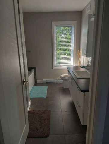 1043B Rang St-Ange - Photo 4