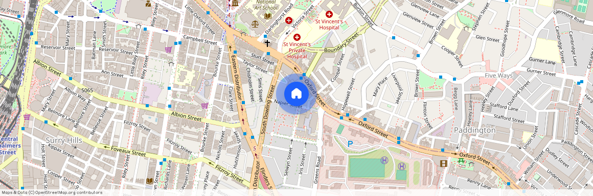 28 Napier Street, Paddington 2021, New South Wales