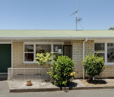 44 Seventeenth Ave, Tauranga South - Photo 6