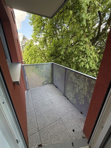 Location Appartement 2 pièces 48m² STRASBOURG 67200 - Photo 5