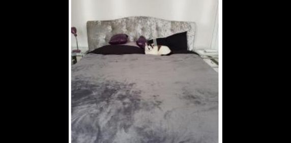 Room in a Shared House, Park Ridings Hornsey London, N8 - Photo 2